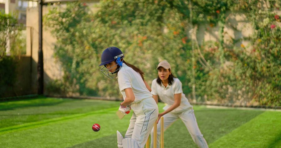 Cricket Pitch