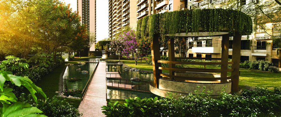 Mangrove Pavilions