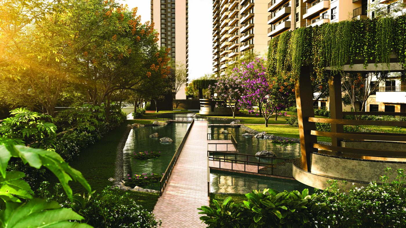 Serenity Creek rivulet